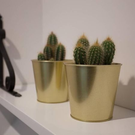 Bonito Apartamento, Nuevo Y En El Casco Viejo!!! Appartement Bilbao Buitenkant foto